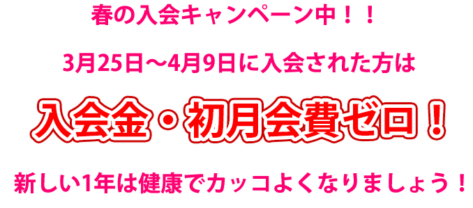 春のキャンペーン